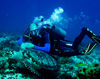 DSC 2116 Erick And Turtle Cozumel 10 07 14x11