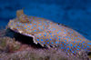 DSC 3222