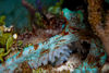 DSC 4422