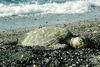 DSC 5463